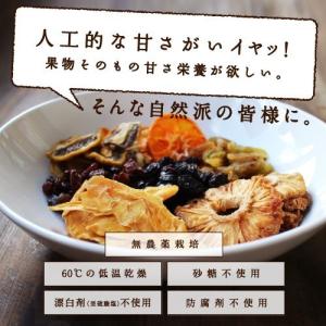 有機ゴールデンベリー 100g オーガニック ...の詳細画像1