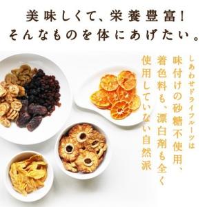 有機ゴールデンベリー 100g オーガニック ...の詳細画像2