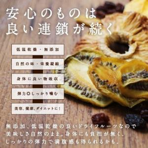 有機ゴールデンベリー 100g オーガニック ...の詳細画像3