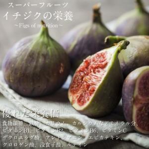 ドライいちじく 500g ドライフルーツ ドラ...の詳細画像2