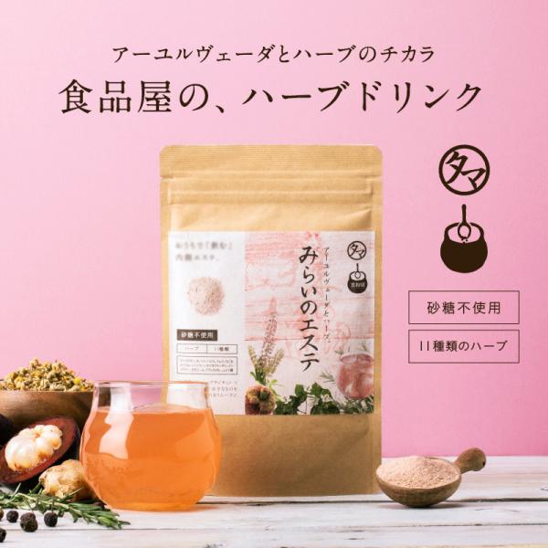 サプリ 粉末 ダイエット ハーブ ドリンク みらいのエステ 100g 美粉屋 10袋セット リラクゼ...