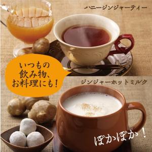 みらいのしょうが 70g 生姜粉末 黄金&熟成...の詳細画像2