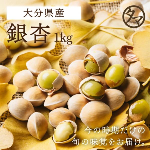 銀杏 1kg 2023年 新物 大分産 ぎんなん 大粒 殻付き 国産 つまみ 串焼き 野菜 やさい ...