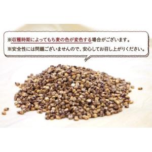 もち麦 国産 10kg 雑穀 米 食物繊維 令...の詳細画像3