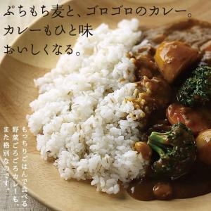もち麦 国産 10kg 雑穀 米 食物繊維 令...の詳細画像4