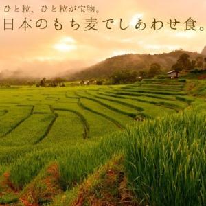 もち麦 国産 10kg 雑穀 米 食物繊維 令...の詳細画像5