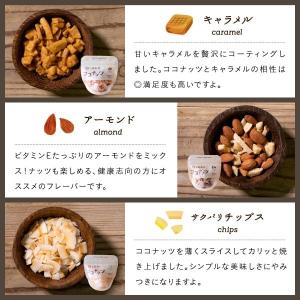 しあわせココナッツ 選べる6種類 チップ アー...の詳細画像2