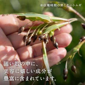 ハトムギ はと麦 ショコラ 国産 シリアル 煎...の詳細画像5