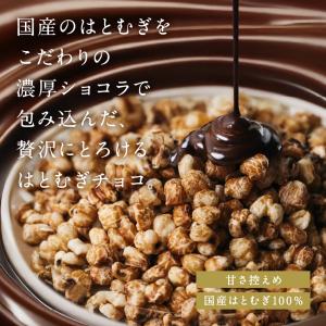 ハトムギ はと麦 ショコラ 国産 シリアル 煎...の詳細画像2