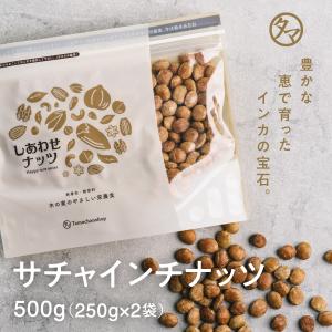 サチャインチナッツ500g (250g×2袋) 無添加 無塩 無油