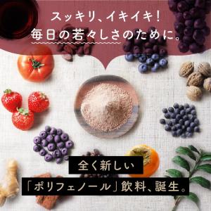 ポリフェノール サプリ いのちのワイン 100...の詳細画像1