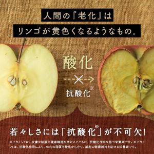 ポリフェノール サプリ いのちのワイン 100...の詳細画像4