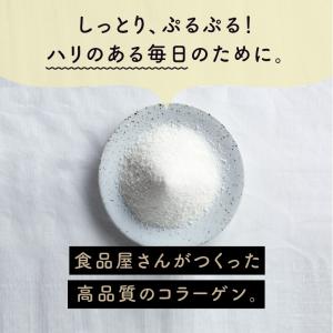 こなゆき コラーゲン パウダー ペプチド 粉末...の詳細画像2