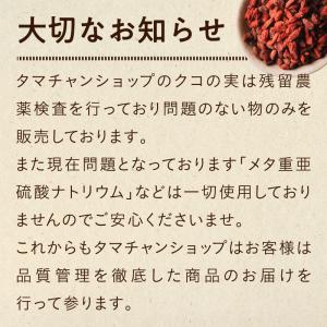 クコの実 250g お試し ゴジベリー スーパ...の詳細画像3