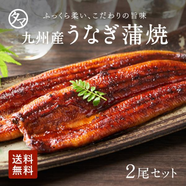 うなぎ 蒲焼 九州産 2尾セット 130〜150g 贈り物 ギフト 高級 ウナギ 鰻 秘伝タレ かば...