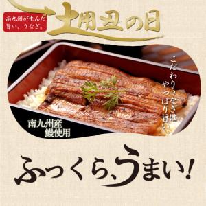 うなぎ 蒲焼 九州産 2尾セット 130〜15...の詳細画像2