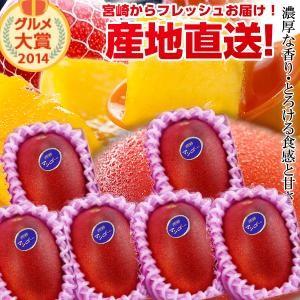 宮崎完熟マンゴー中玉 6玉 2025年度 フレッシュ 産地直送 くだもの 果物 フルーツ マンゴー 母の日 贈り物 お中元 ギフト 送料無料