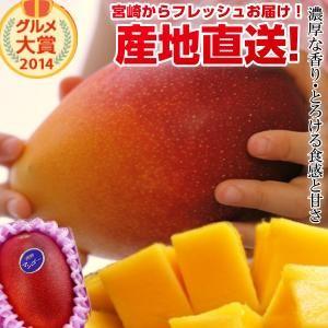 宮崎完熟マンゴー大玉 1玉 2024年度 フレッシュ 産地直送 くだもの 果物 フルーツ マンゴー ...
