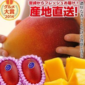 宮崎完熟マンゴー大玉 2玉 2024年度 フレッシュ 産地直送 くだもの 果物 フルーツ マンゴー ...