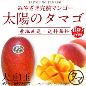 太陽のタマゴ 大玉1玉 2L 2026年 宮崎 マンゴー フレッシュ 産地直送 母の日 贈り物 お中元 ギフト 果物 くだもの フルーツ 送料無料｜タマチャンショップ