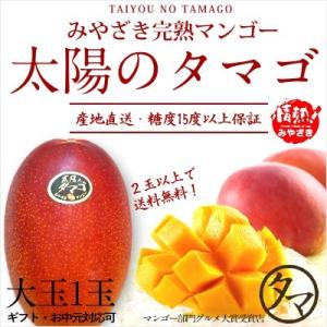 太陽のタマゴ 大玉1玉 2018年度 宮崎 マンゴー フレッ...