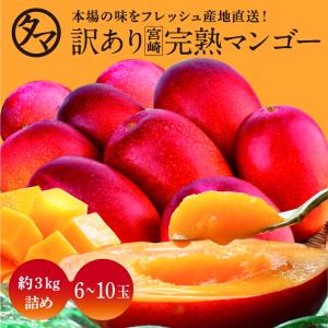 訳あり宮崎完熟マンゴー 約3kg 6〜10玉 マンゴー わけあり くだもの フルーツ 果物 ギフト 贈り物 家庭用 送料無料 見た目ちょいわる 味は絶品｜タマチャンショップ