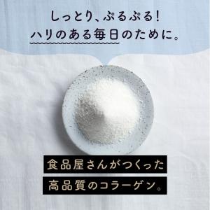 こなゆきマリンコラーゲン パウダー 粉末 ペプ...の詳細画像2