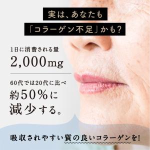 こなゆきマリンコラーゲン パウダー 粉末 ペプ...の詳細画像4
