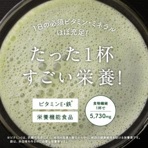 スムージー 粉末 150g 3袋セット ダイエ...の詳細画像2
