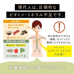 スムージー 粉末 150g 3袋セット ダイエ...の詳細画像4