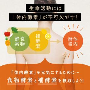 酵素 みらいのこうそ 美粉屋 100g ドリン...の詳細画像5