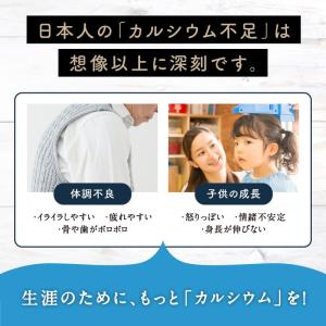 カルシウム サプリ 粉末 みらいのミルク 10...の詳細画像4