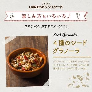 ミックスシード 250g 4種類 かぼちゃの種...の詳細画像2