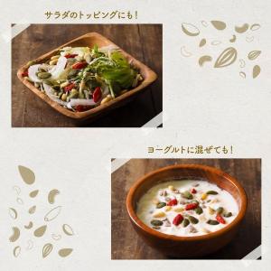 ミックスシード 250g 4種類 かぼちゃの種...の詳細画像3