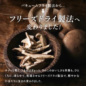 キノコッチ きのこチップス 森のおつまみ ヘル...の詳細画像2