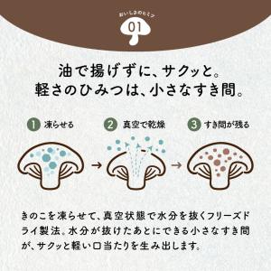 キノコッチ きのこチップス 森のおつまみ ヘル...の詳細画像3