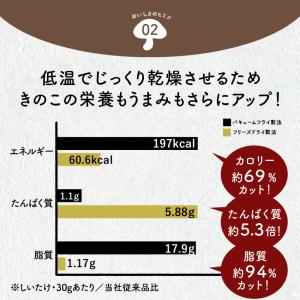 キノコッチ きのこチップス 森のおつまみ ヘル...の詳細画像4