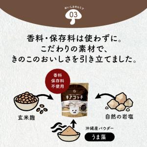 キノコッチ きのこチップス 森のおつまみ ヘル...の詳細画像5