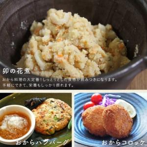 おからパウダー 国産 無添加 500g 粉末 ...の詳細画像2