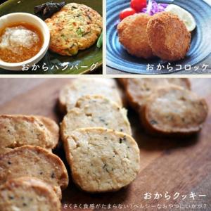 おからパウダー 国産 無添加 500g 粉末 ...の詳細画像3