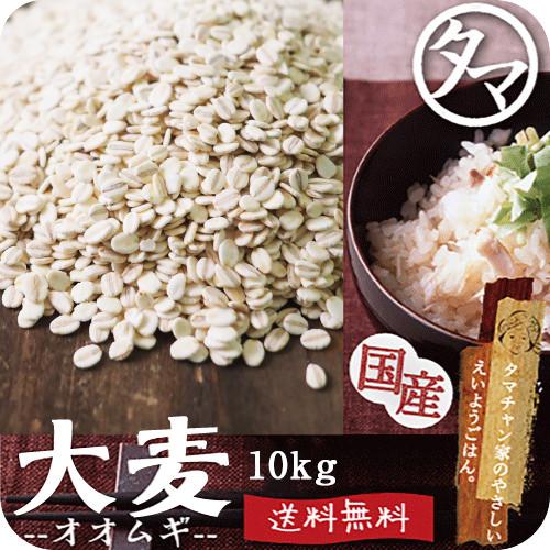 大麦 九州産 10kg(250g×40袋) 押し麦 胚芽押し麦 雑穀 食物繊維 ダイエット 送料無料