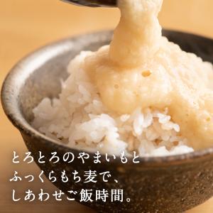大麦 雑穀 国産 10kg 胚芽押し麦 βグル...の詳細画像1