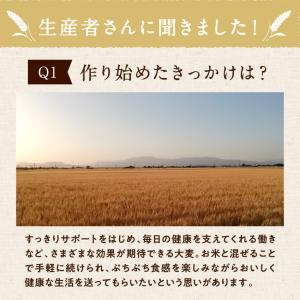 大麦 雑穀 国産 10kg 胚芽押し麦 βグル...の詳細画像4