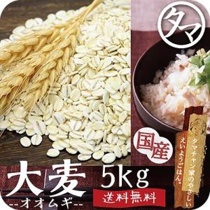 大麦 九州産 5kg(250g×20袋) 押し麦 胚芽押し麦 雑穀 食物繊維 ダイエット 送料無料｜tamachanshop