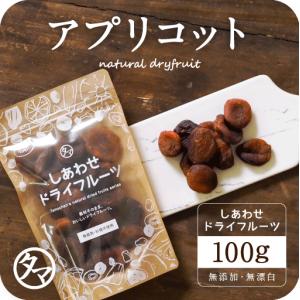 ドライ アプリコット 100g 無添加 ドライフルーツ あんず 杏 トルコ産 オーガニック 有機 J...