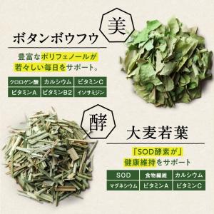 青汁 国産 3箱 計90包 有機JAS認定 オ...の詳細画像3