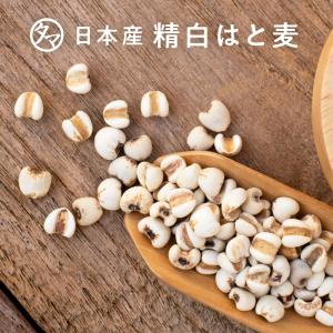 ハトムギ 雑穀 はとむぎ 国産 500g 精白 250g×2袋 小分け 九州産 はと麦 穀物 雑穀米 送料無料｜タマチャンショップ