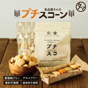 プチスコ 70g 栄養 スコーン 健康 おやつ 選べる7種類