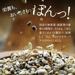 シリアル 国産 グラノーラ ダイエット 黒米 ...の詳細画像2