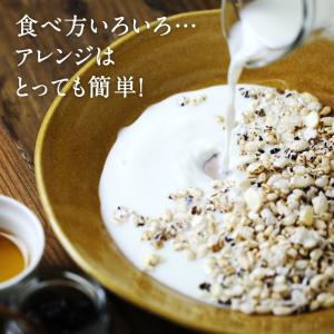 シリアル 国産 グラノーラ ダイエット 黒米 ...の詳細画像3